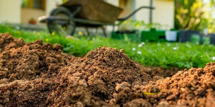 zakladanie terenow zielonych